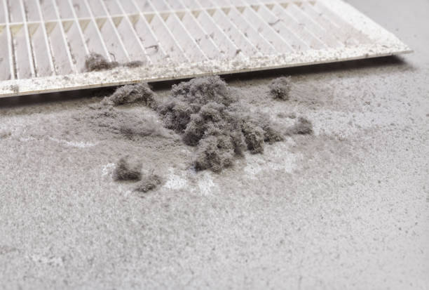 Best Professional Duct Cleaning Services  in Norris City, IL