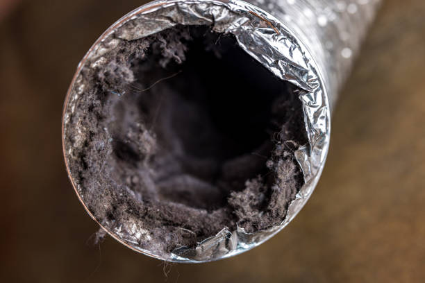Best Affordable HVAC Duct Cleaning  in Norris City, IL